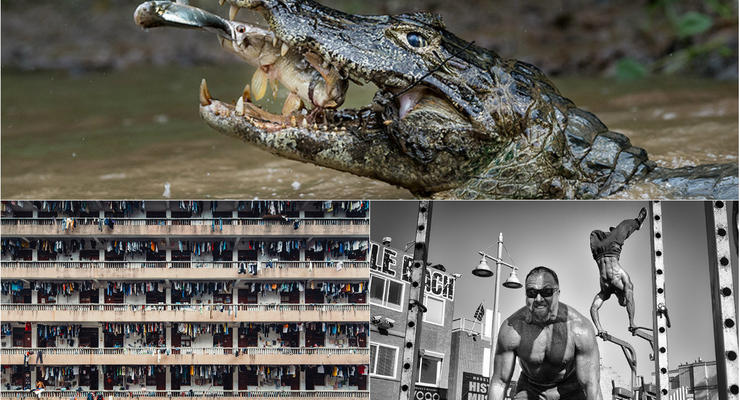 Животные, люди и города: Лучшие снимки фотоконкурса National Geographic Travel