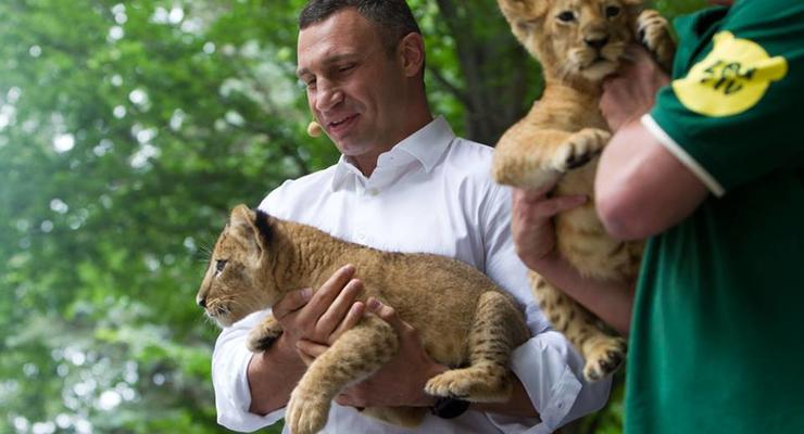 Кличко со львенком на руках показал, каким будет киевский зоопарк