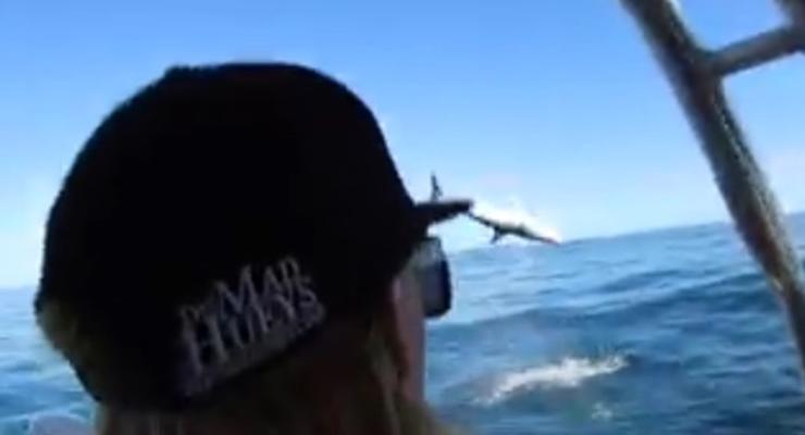 В Австралии рыбаки сняли на видео прыжок акулы