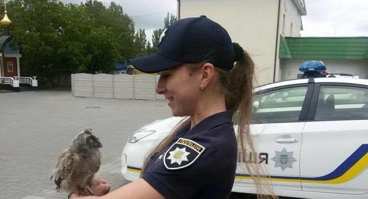 В полиции Ровно "взяли на службу" совенка