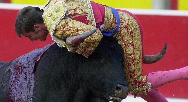 В Испании впервые за 30 лет бык убил матадора во время корриды