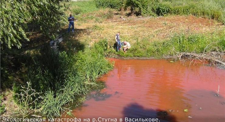Дохлая рыба и запах ацетона: Под Киевом река Стугна оказалась загрязнена