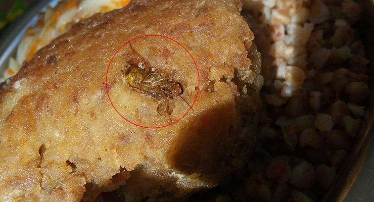 Хлеб с тараканами и мясо с червями: как кормят солдат в одной из воинских частей