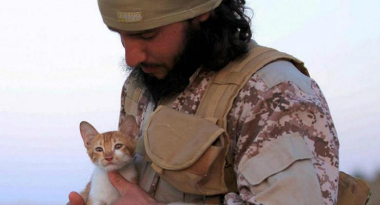 Боевики ИГ начали использовать котят для привлечения сторонников