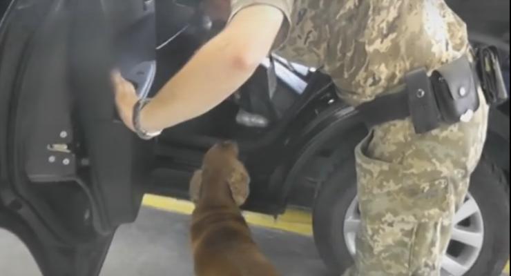 На границе служебная собака помогла найти  4 кг наркотиков