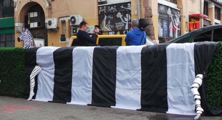 Киевские активисты установили пластиковую зебру возле Бессарабки