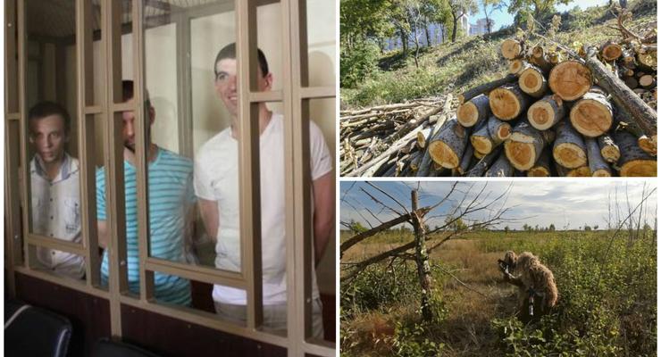 Итоги 7 сентября: Приговор крымским мусульманам в РФ, вырубка деревьев в Киеве и поздравление военных  разведчиков