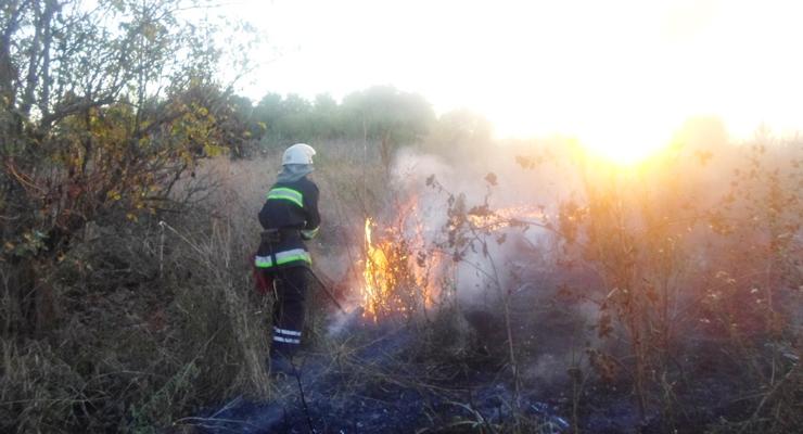 Под Киевом спасатели около 50 раз тушили травяные пожары