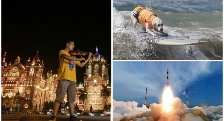День в фото: Японский музыкант, собака-серфер и запуск спутника