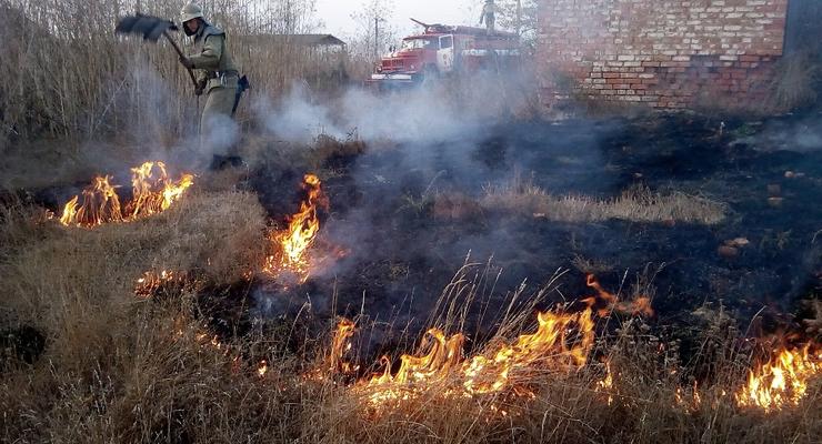 В экосистеме Киевской области не утихают пожары