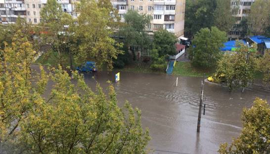 Сильный ливень в Одессе затопил улицы и повалил деревья