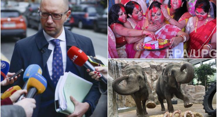 День в фото: Яценюк на допросе,  индийский ритуал и столетие слонов