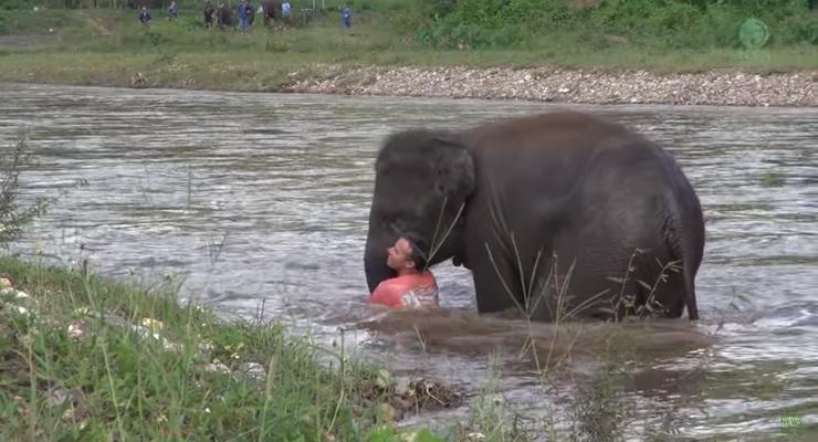 Слониха бросилась спасать тонущего человека