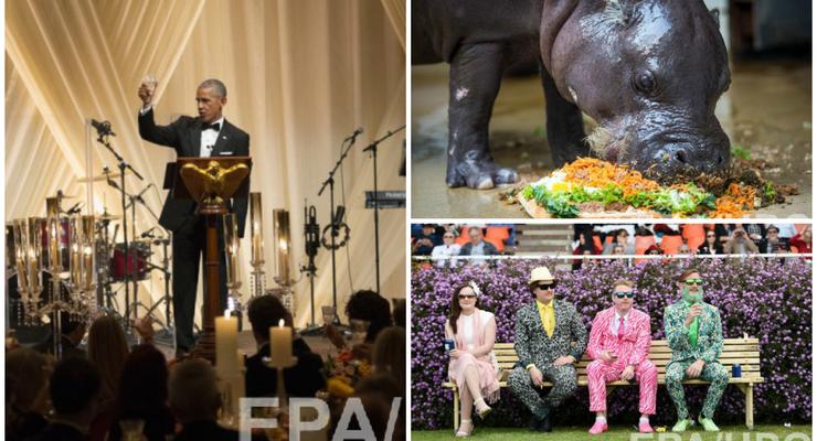 День в фото: государственный обед Обамы, бегемот-именинник и яркие зрители ипподрома