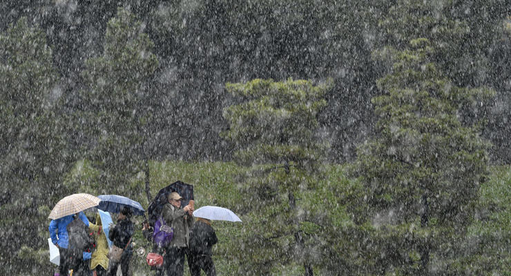 В Токио выпал снег в ноябре впервые за 54 года