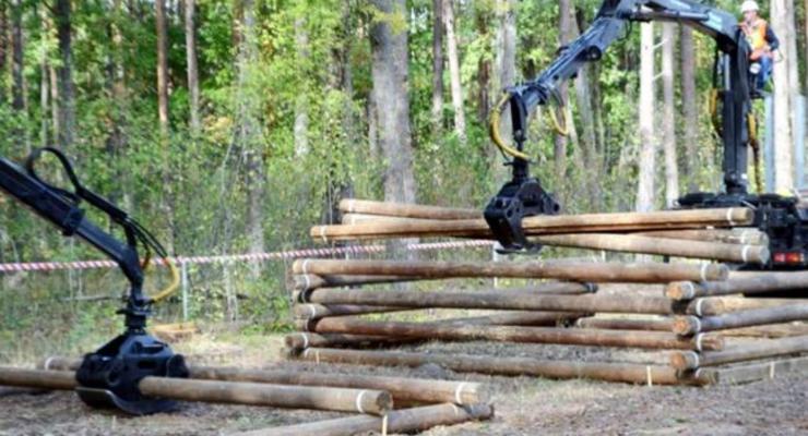В ЕС объяснили позицию по запрету на экспорт леса-кругляка