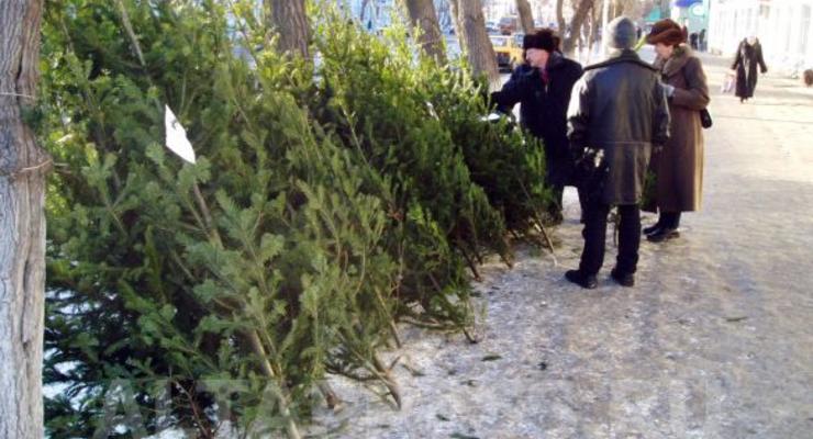 В Харькове активисты Азова отбирали елки у продавцов и отдавали прохожим