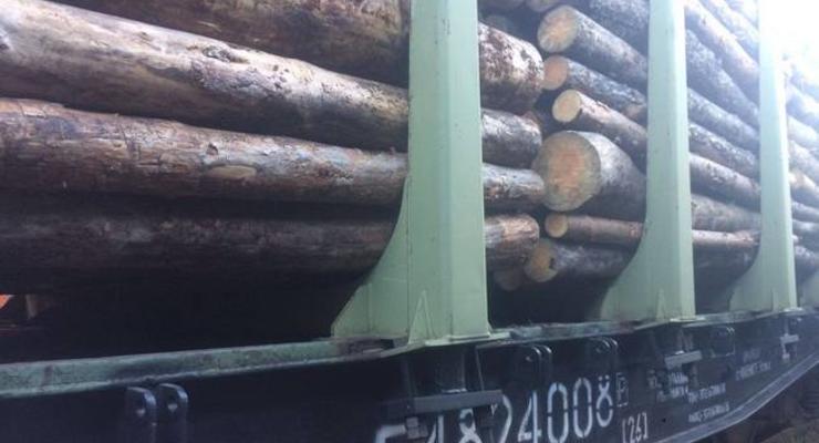 В Румынию под видом дров везли 56 вагонов ценной древесины