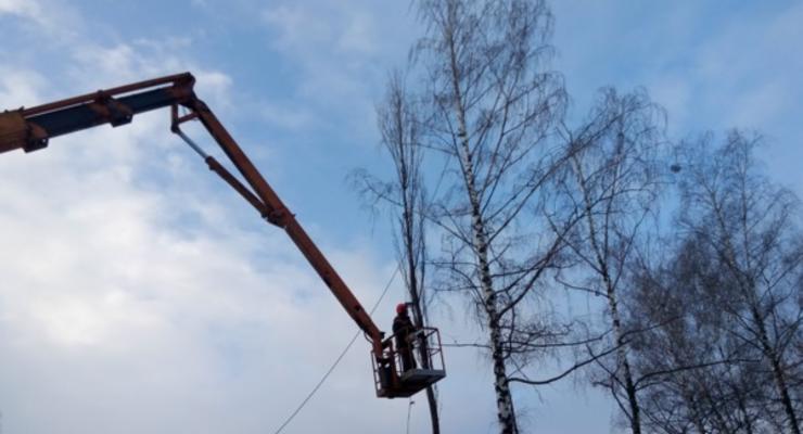 Возле снесенного кинотеатра Нивки вырубают деревья