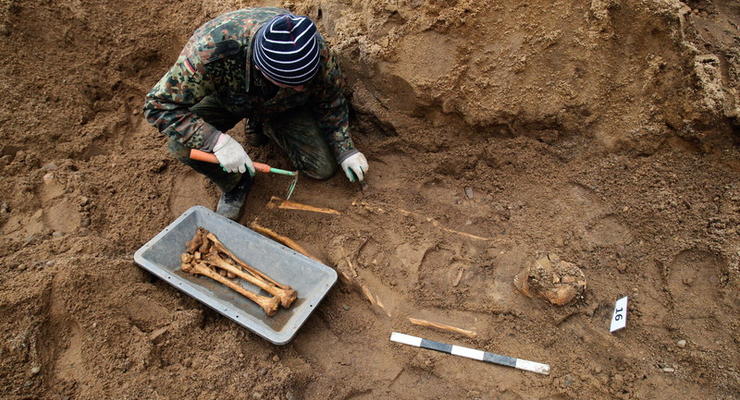 В Минкульте возмущены визитом британских археологов в Крым