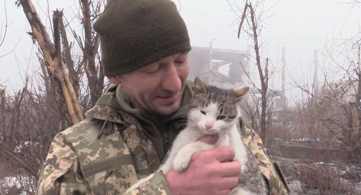 Военный рассказал трогательную историю дружбы с котом в АТО