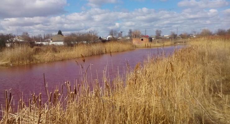 В Черниговской области озеро внезапно стало розовым