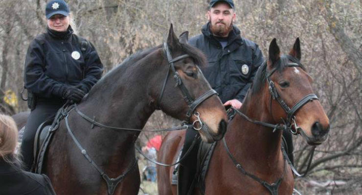 В Киеве на Русановке лошадь конной полиции сбила женщину - соцсети