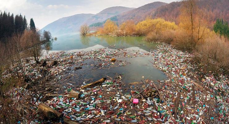 "Цветет" мусор: фотограф показал заповедную зону на Закарпатье
