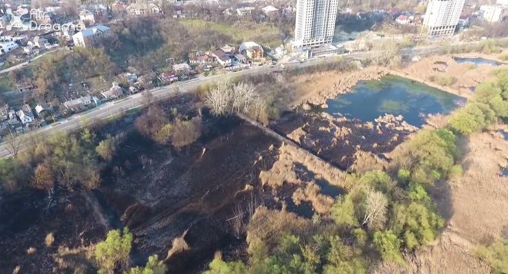 В Сети  появилось видео с последствиями масштабного пожара на Совских прудах