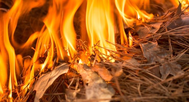 Пожары в Сибири: сгорела деревня, объявлена чрезвычайная ситуация