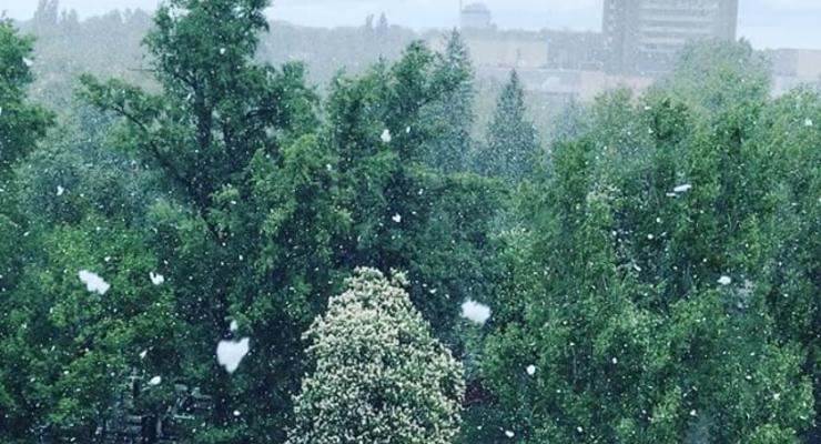 В Киеве выпал майский снег
