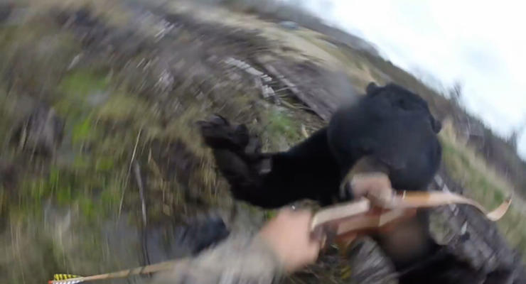 Охотник чудом остался в живых, пойдя на медведя с луком
