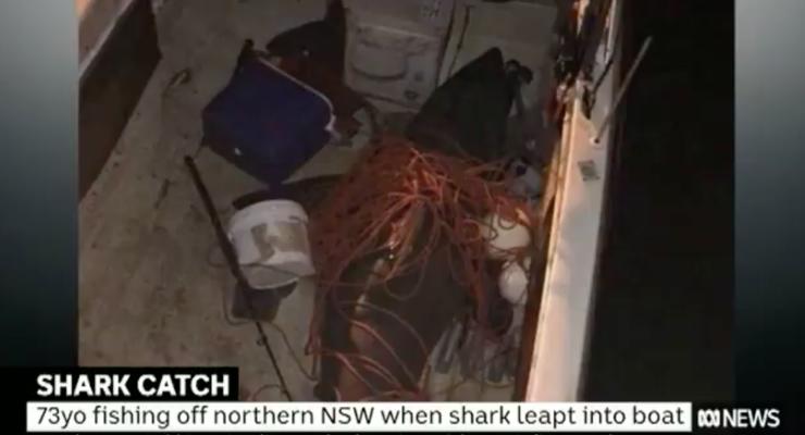 В Австралии акула запрыгнула рыбаку прямо в лодку