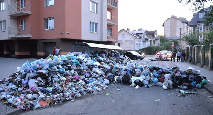 Найдены виновные в незаконном вывозе мусора из Львова