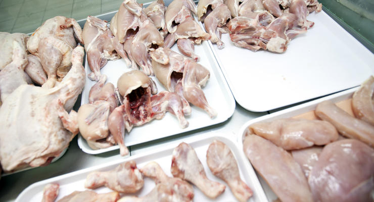 В оккупированном Крыму обнаружили зараженное птичьим гриппом мясо