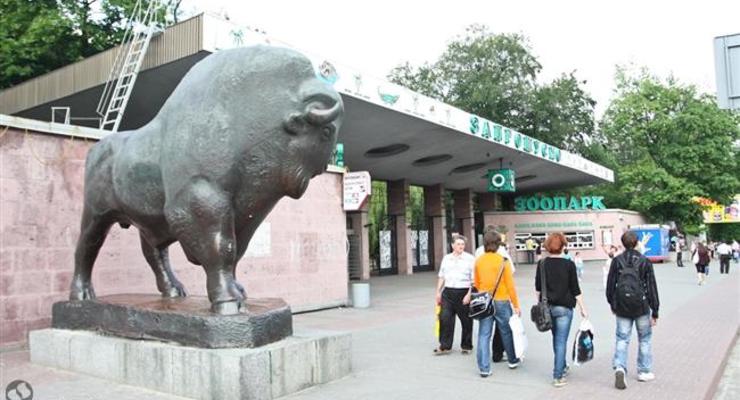 В Киеве на реконструкцию зоопарка выделили200 млн гривен