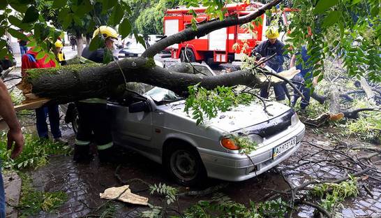 На Закарпатье ураган валил деревья и топил деревни
