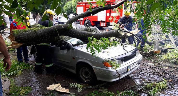 На Закарпатье ураган валил деревья и топил деревни