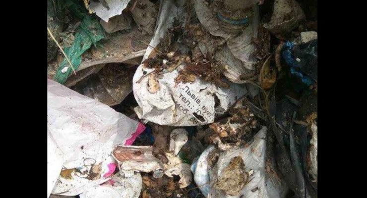 В Киевской области выгрузили 60 тонн львовского мусора - полиция
