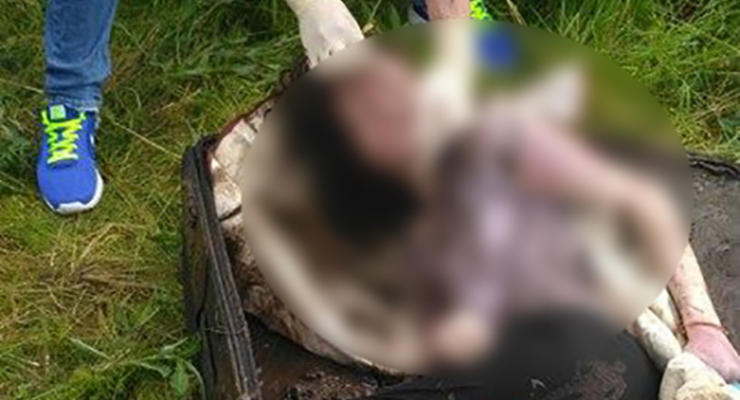 В Ивано-Франковской области в чемодане нашли тело болгарской студентки