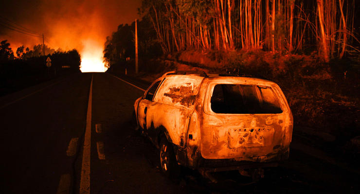В Португалии жертвами лесных пожаров стали 24 человека