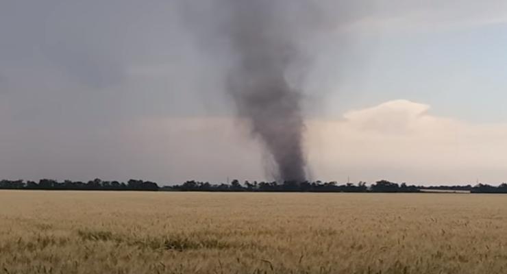 Смерч в Донецкой области уничтожил посевы подсолнечника