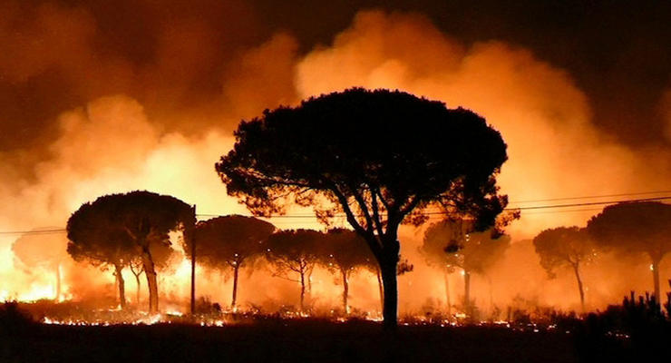 Масштабный лесной пожар в Испании: эвакуированы 1000 человек