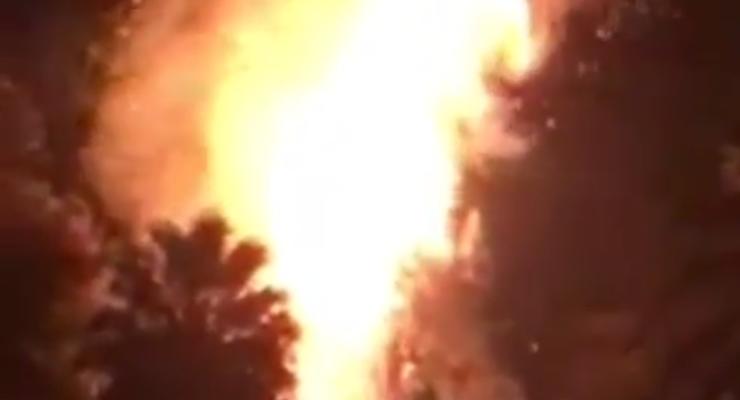 В столице Египта вспыхнул пожар в крупнейшем зоопарке