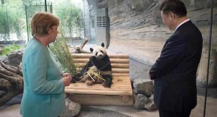 Китай подарил Германии двух маленьких панд в знак дружбы: фото