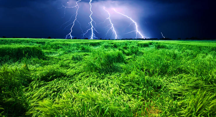В Черкасской области молния убила семью из трех человек во время работ в поле