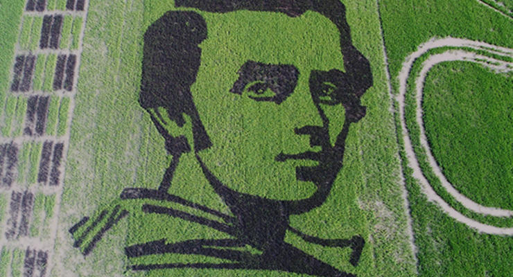 Портрет Шевченко из риса вырастили на Херсонщине