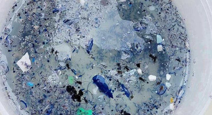 В Тихом океане обнаружили гигантское "мусорное пятно"