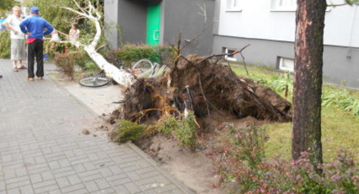 В Польше непогода: повалены деревья и подтоплены дома