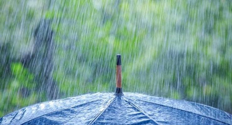 Синоптики предупреждают о сильных дождях и грозах